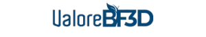 logo_valore_bf_3d